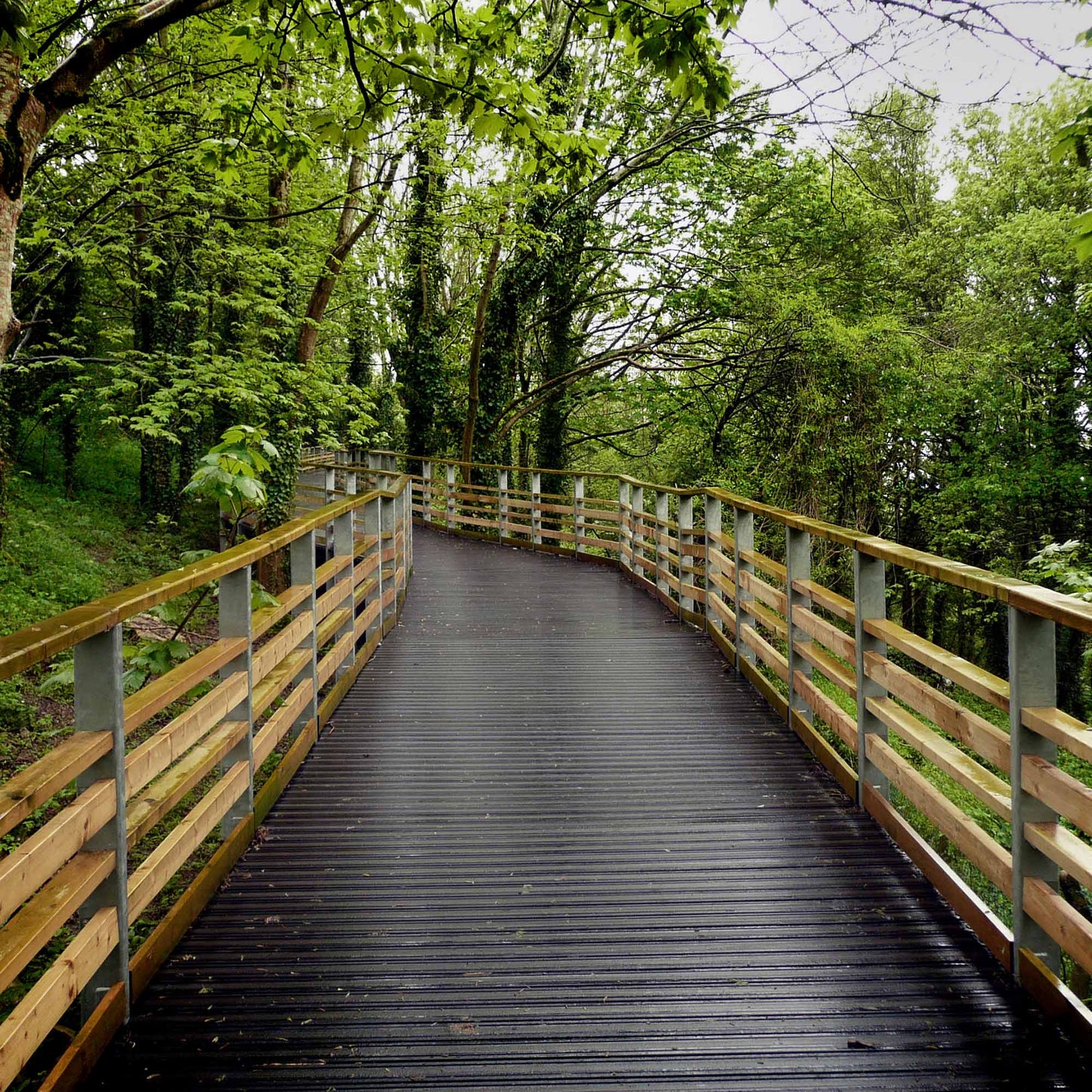 Plastic Decking