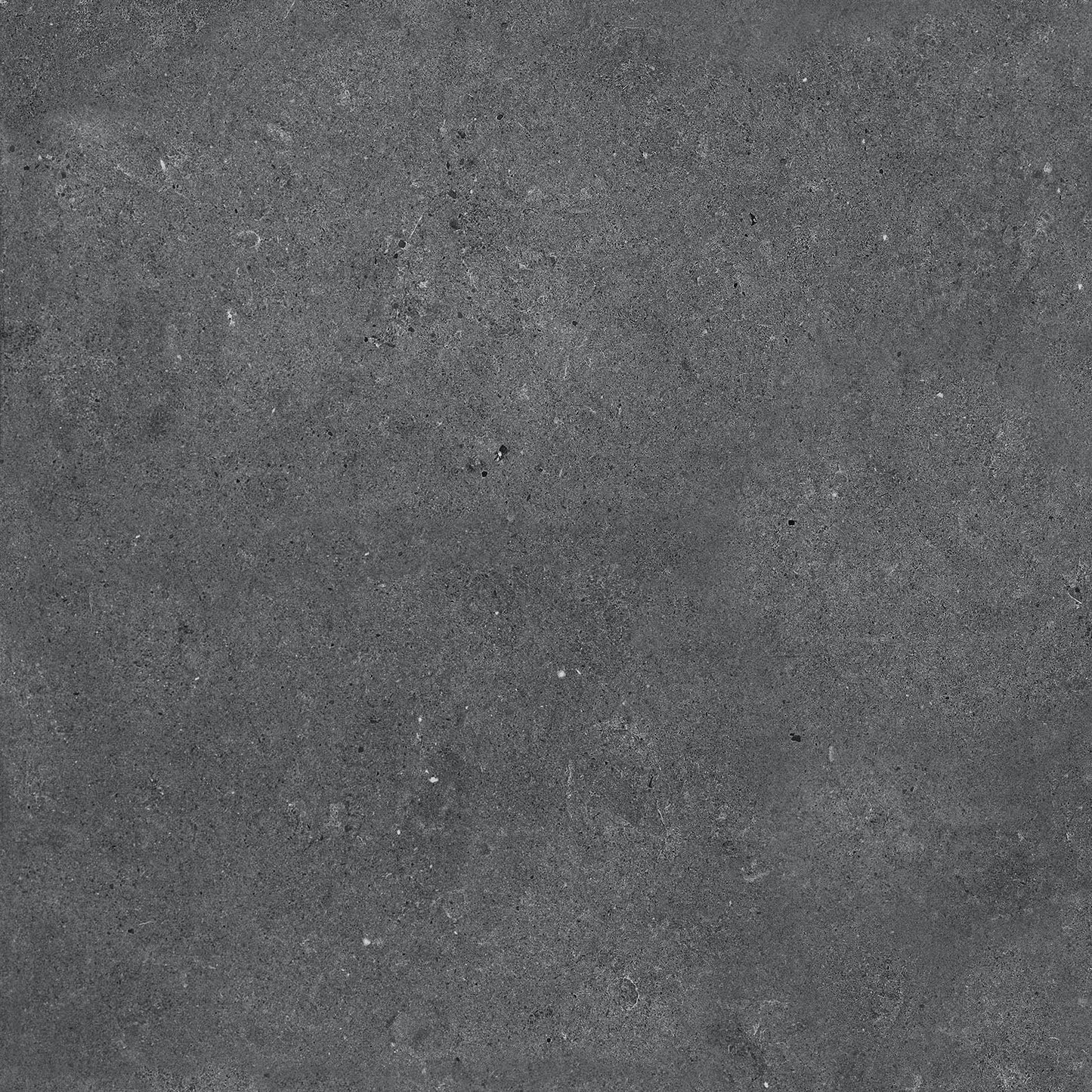 Sample Pack | Porcelain Paving