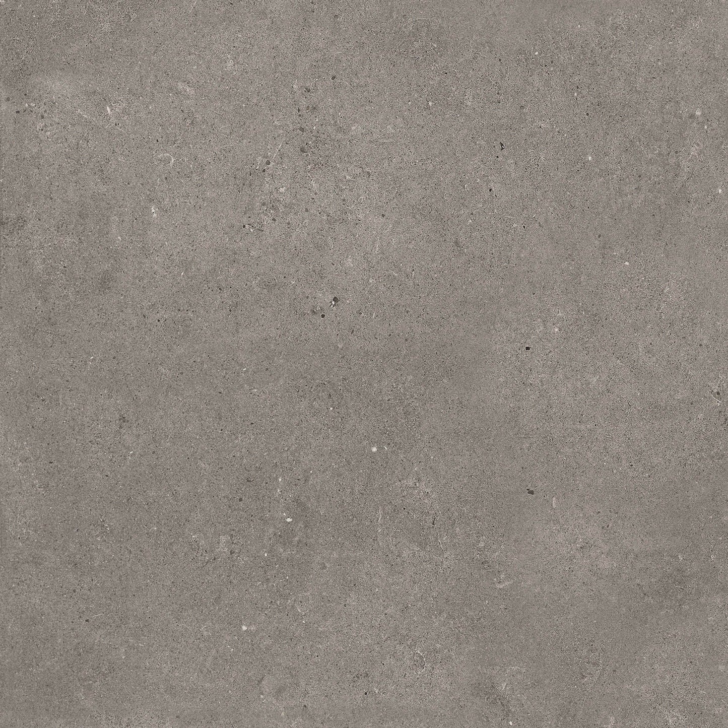 Sample Pack | Porcelain Paving