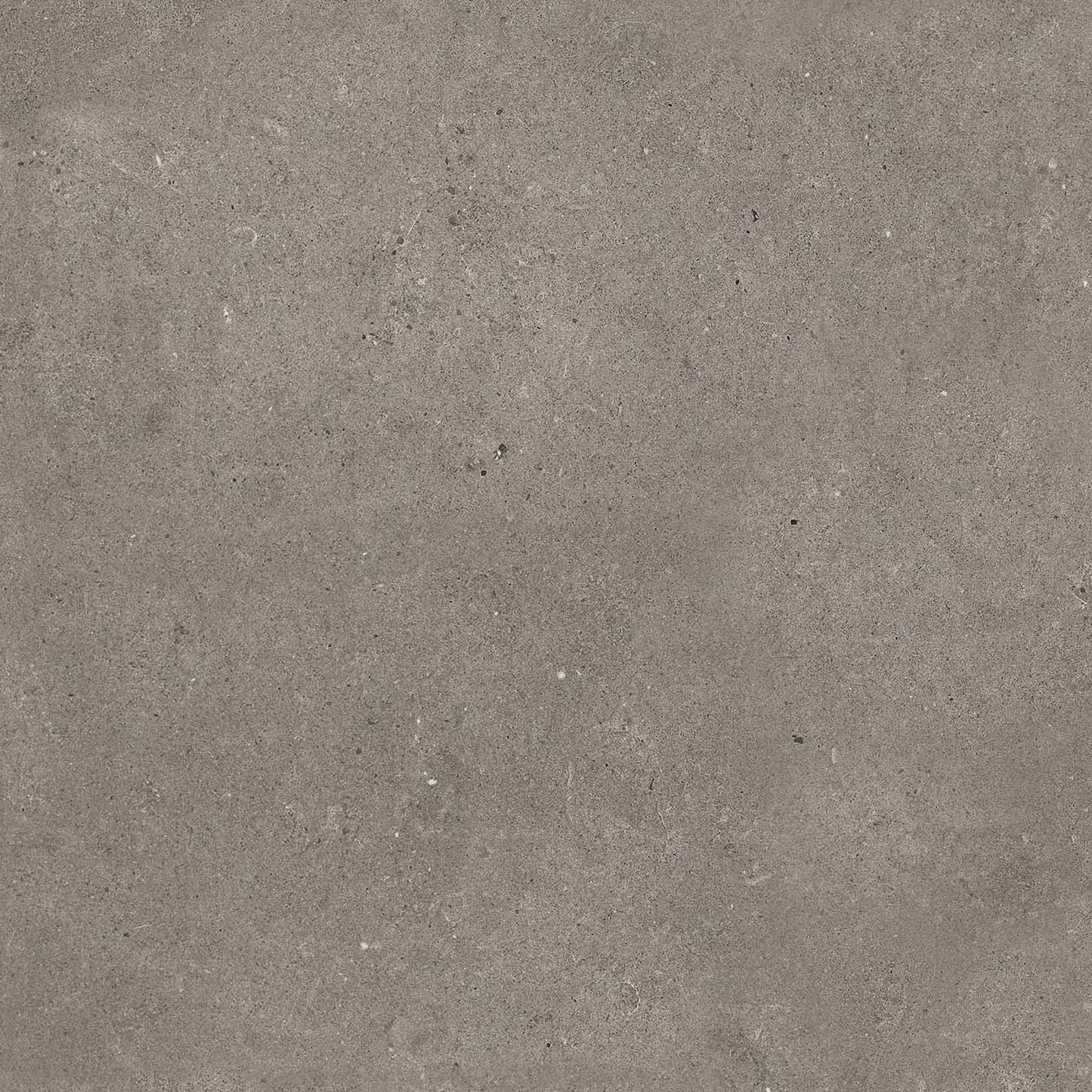 Porcelain Paving